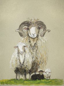 Family of sheep