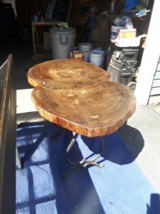 Seat made of tree trunk
