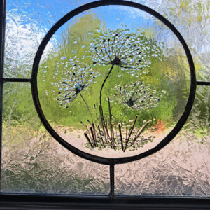Dandelions in glass frame