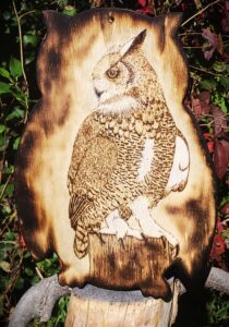 Owl wood burning