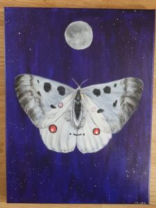 Apollo Butterfly acrylic painting