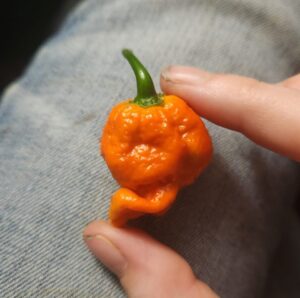 Macks Peppers